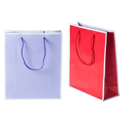 Elite Gift Paper Bag - Gerbera Small