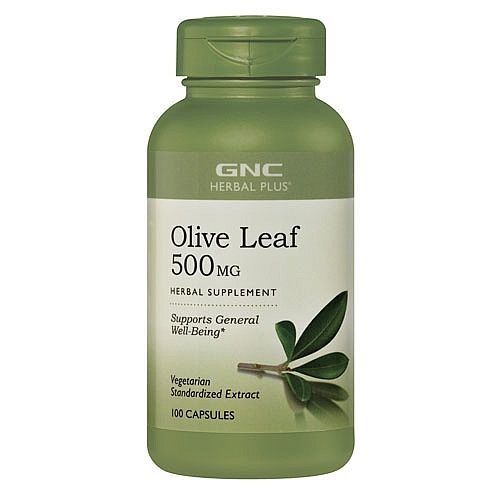 GNC Herbal Plus Standardized Olive Leaf 500 mg / Olive Leaf Extract 500 mg - Protects Against Colds and Flu