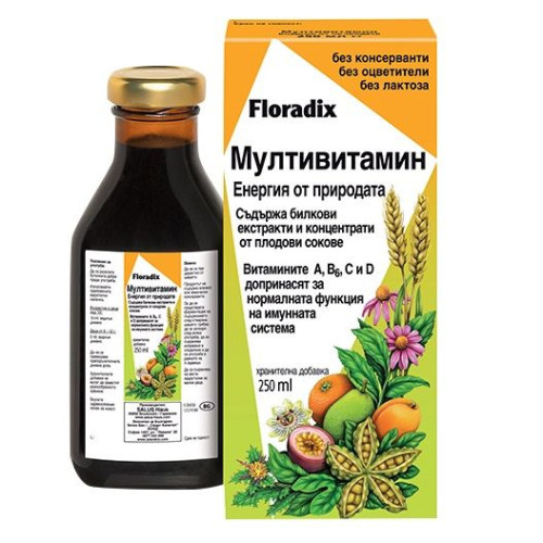 Floradix Multivitamin Energy from Nature 8.45 fl oz (250 ml)