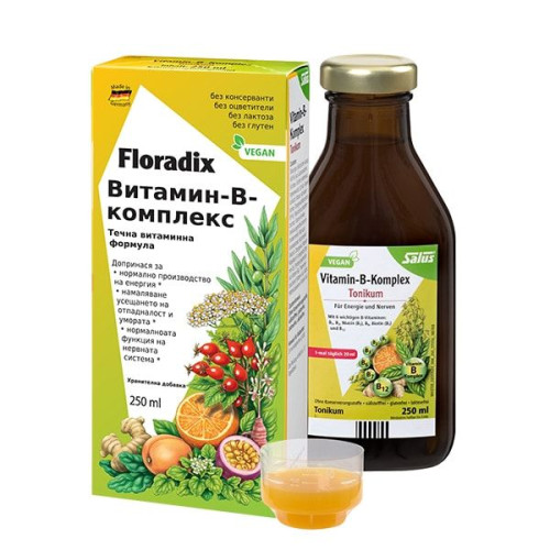 Floradix Vitamin B Complex Herbal and Fruit Elixir for More Energy 8.45 fl oz (250 ml)