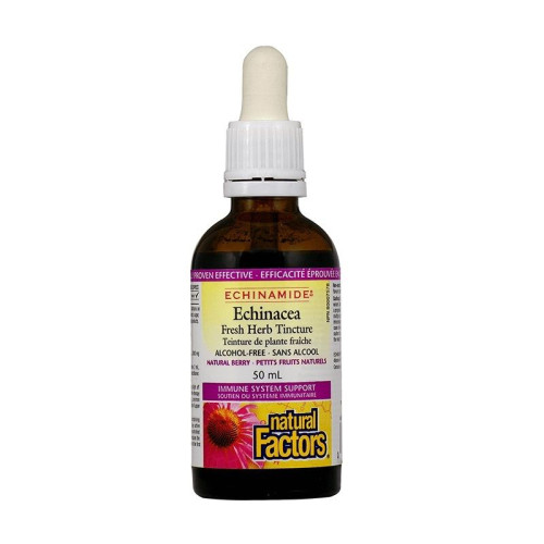 Natural Factors Echinacea for Colds and Flu Herbal Tincture for Strong Immunity 1.69 fl oz (50 ml)