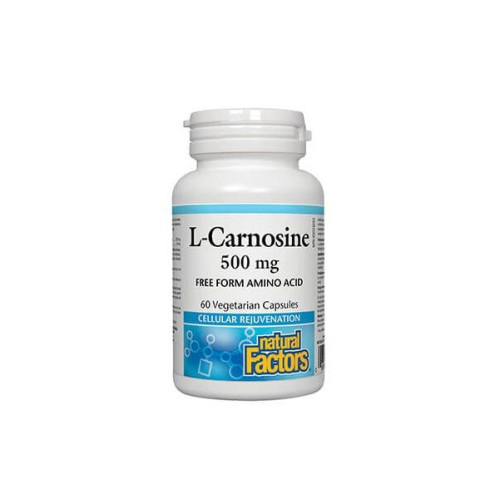 Natural Factors L-Carnosine for Memory and Irrigation with Carnosine 60 Vcaps