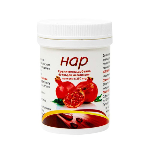 Bouroff Pomegranate for Proper Functioning of the Circulatory System and Stomach Comfort 60 Hard Capsules