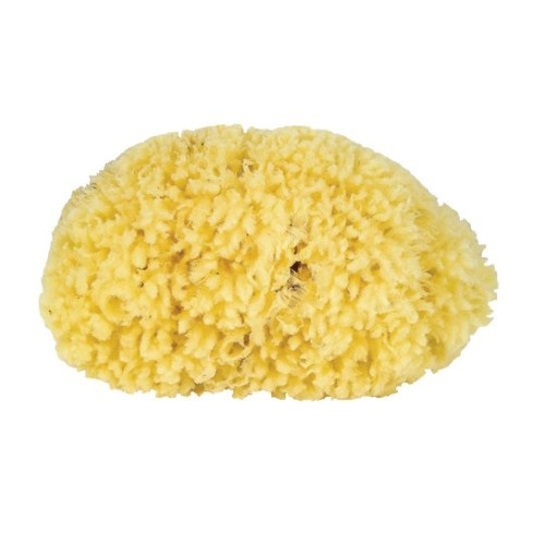 Agiva Bath Medium Coral-Body Sponge