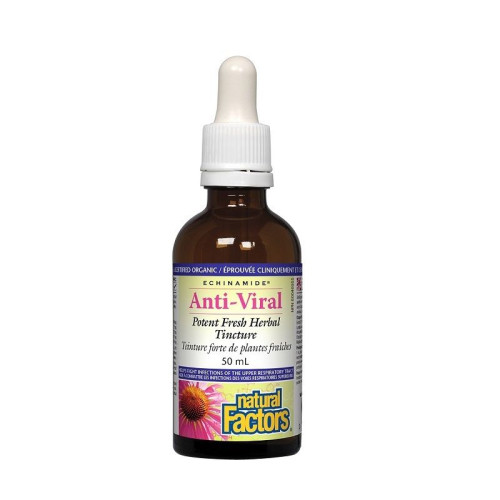 Natural Factors Echinacea for High Immunity Against Viruses and Infections Tincture 1.69 fl oz (50 ml)