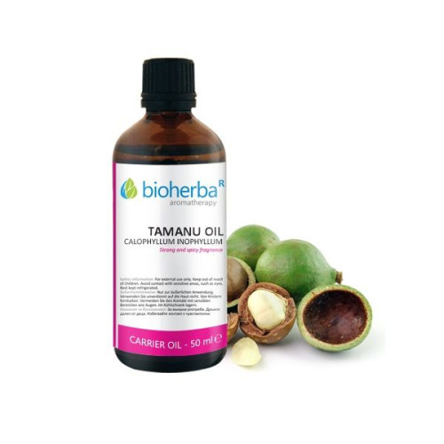 Bioherba Tamanu Oil for Scars and Stretch Marks for Sensitive Skin 1.69 fl oz (50 ml)
