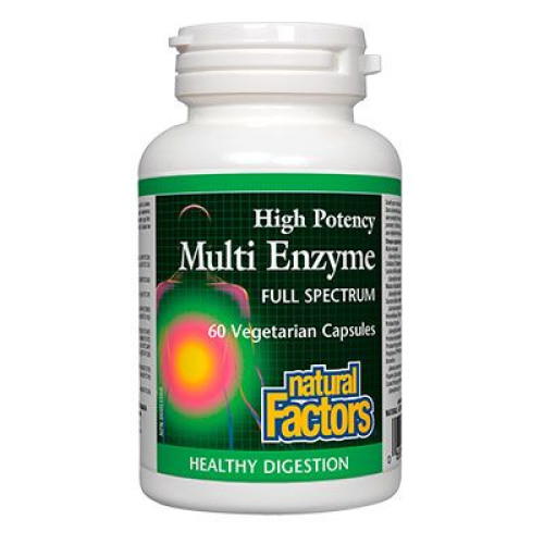 Natural Factors Multi Enzyme Ulcers Gastritis and Gas for a Healthy Stomach 60 Capsules