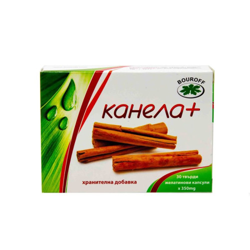 Bouroff Cinnamon + for Weight Loss and Blood Sugar Reduction 30 Hard Capsules