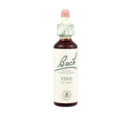 Bach Original Flower Remedies Vine 0.68 fl oz (20 ml)