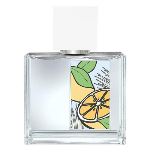 Mexx Whenever Wherever Eau De Toilette for Women 1.69 fl oz (50 ml)