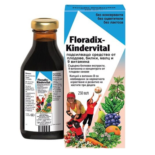 Floradix Kindervital Herbal Fruit Elixir for Children 8.45 fl oz (250 ml)
