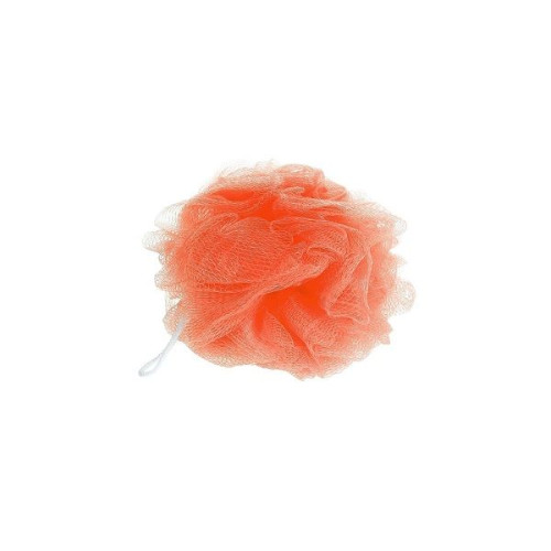 China Mesh Bath Sponge 1 pc