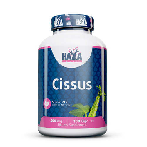 Haya Labs Cissus 500 mg 100 Capsules