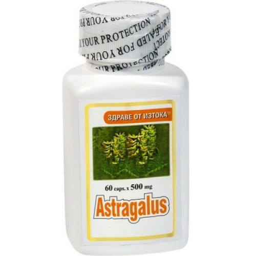 TNT Astragalus 500 mg for a Strong Immune System and Optimal Health 60 Capsules