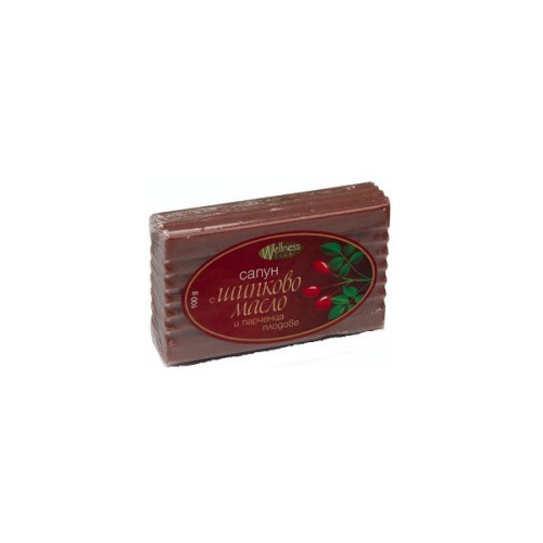 Wellness Club Soap with Rosehip Oil and Fruit pcs 3.53 oz (100 g)