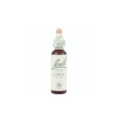Bach Original Flower Remedies Larch 0.68 fl oz (20 ml)