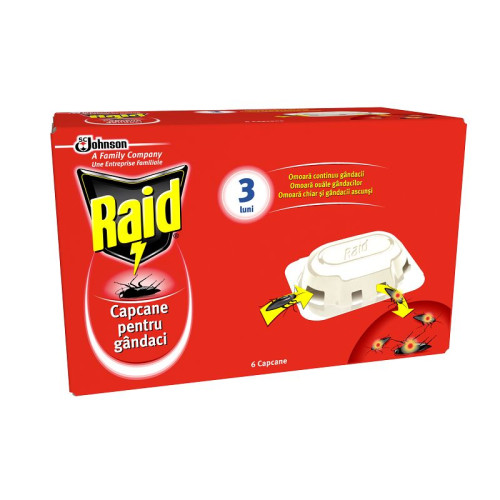 Raid Cockroach Bait 6 pcs