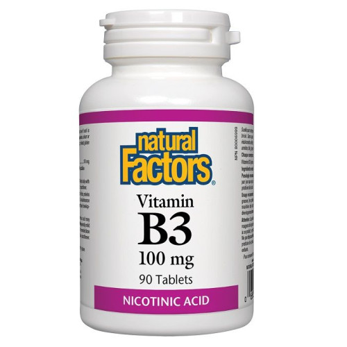 Natural Factors Vitamin B3 for the Nervous System and Fast Metabolism 90 Tablets