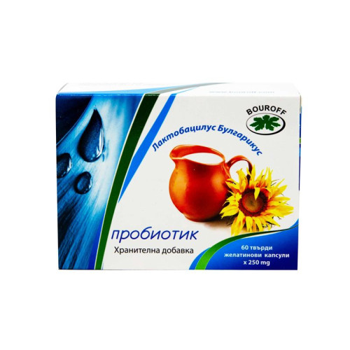Bouroff Lactobacillus Bvlgaricus Anti-allergic Probiotic Strengthens Immunity and Intestinal Flora 60 Capsules