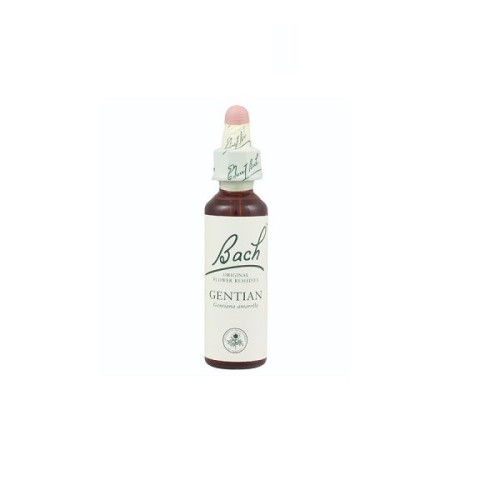 Bach Original Flower Remedies Gentian 0.68 fl oz (20 ml)