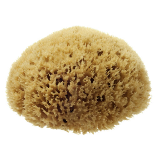 Sisma Spa Massage Sponge for the Bathroom Coral Color 1 pc