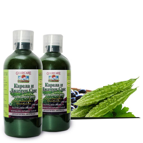 Goodcare Pharma Karela and Jamun Juice 16.91 fl oz (500 ml)
