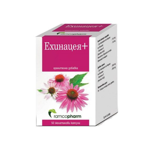 Ramcopharm Echinacea Plus Vitamin C for Strong Immunity and Optimal Health 50 Capsules