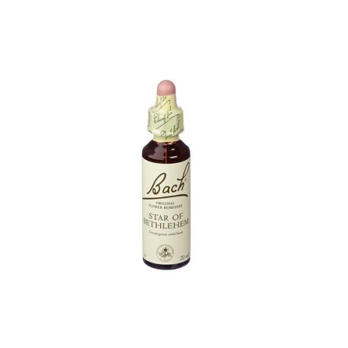 Bach Original Flower Remedies Star of Bethlehem 0.68 fl oz (20 ml)