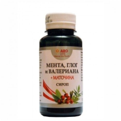 Aro Life Mint Hawthorn Valerian + Lemon Balm for Insomnia and Stress Dietary Supplement in Syrup Form 3.72 fl oz (110 ml)