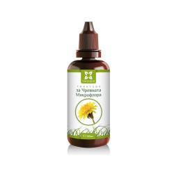 Panacea Tincture for Intestinal Microflora 3.38 fl oz (100 ml)