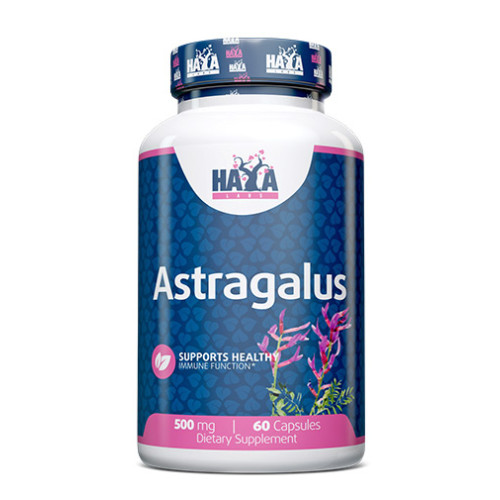 Haya Labs Astragalus 500 mg 60 Capsules