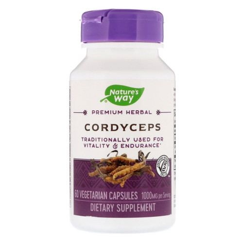 Nature's Way Cordyceps Cordyceps for High Immunity and Vitality 500 mg 60 Capsules