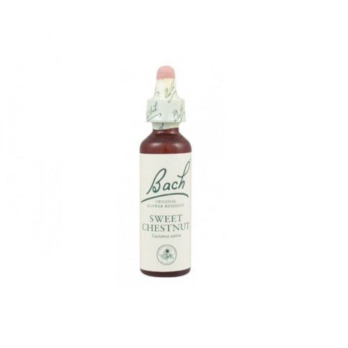 Bach Original Flower Remedies Sweet Chestnut 0.68 fl oz (20 ml)