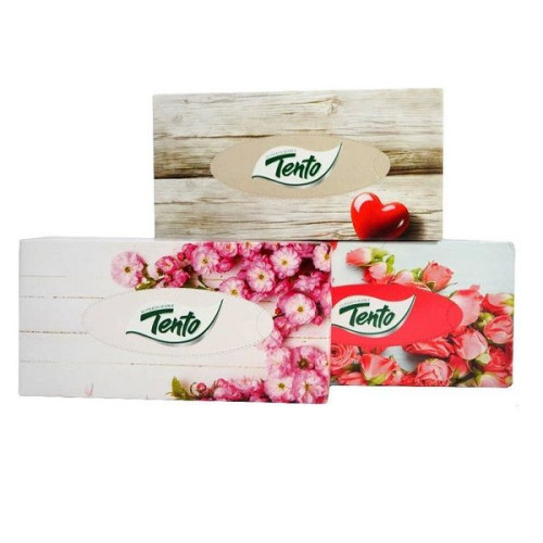 Tento Cosmetic Wipes 70 pcs