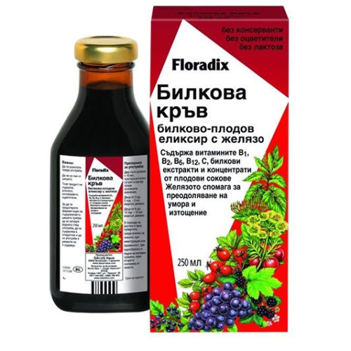 Floradix Herbal Blood Herbal and Fruit Elixir with Iron 8.45 fl oz (250 ml)