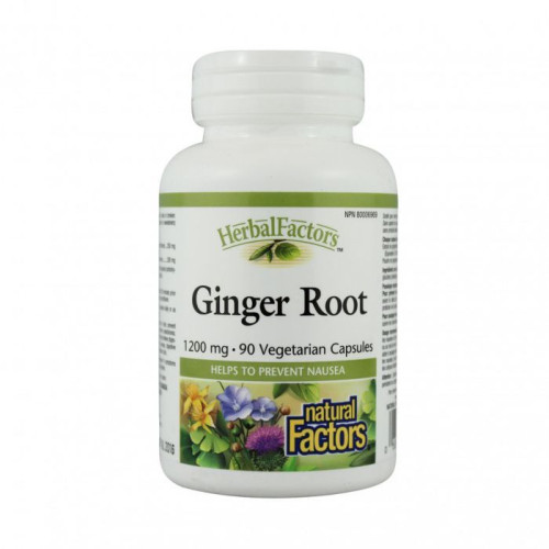 Natural Factors Ginger Root for a Healthy Stomach for Nausea and Heartburn 1200 mg 90 Capsules