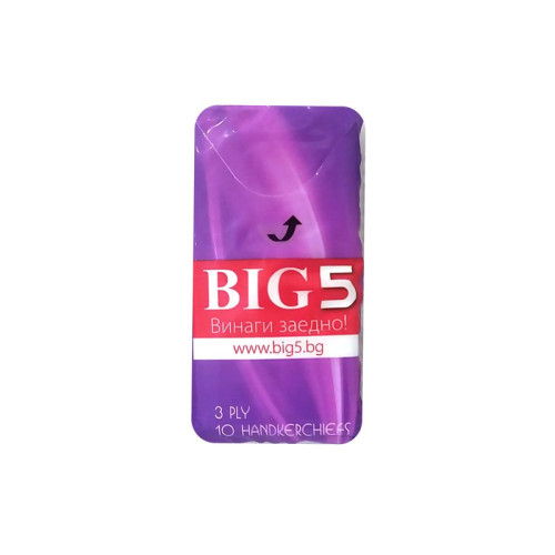 Brite Handkerchiefs Purple 1 pc