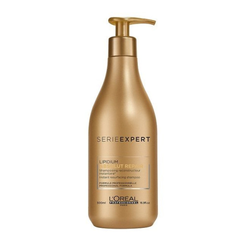 L'oreal Professionnel Absolut Repair Gold Smoothing Shampoo for Severely Damaged Hair 16.91 fl oz (500 ml)