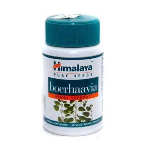 Himalaya Urinary Wellness Borrelia for Urination Problems 60 Capsules