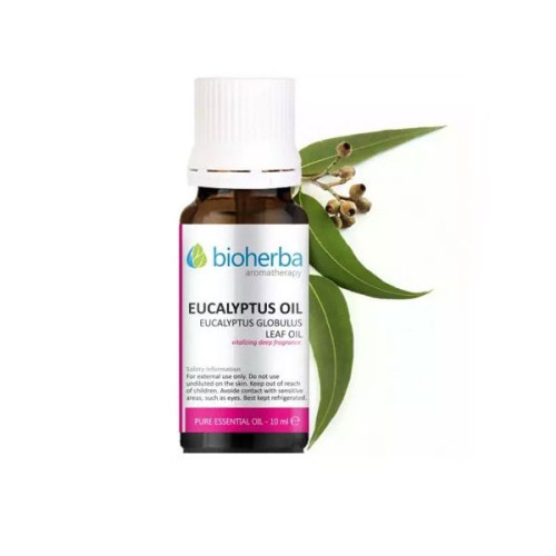 Bioherba Eucalyptus Essential Oil for High Immunity Against Colds and Flu 0.34 fl oz (10 ml)