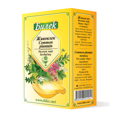 Bilek Herbal Tea Broadleaf Plantain for Inflamed Respiratory Tract and Gastrointestinal Problems 1.76 oz (50 g)