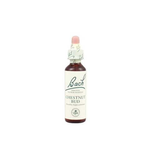 Bach Original Flower Remedies Chestnut Bud 0.68 fl oz (20 ml)